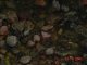 Sweden24